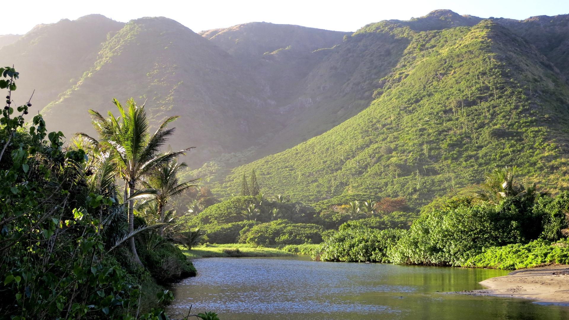Still from Hawaii