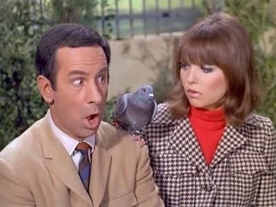 Still from Spy, Spy, Birdie