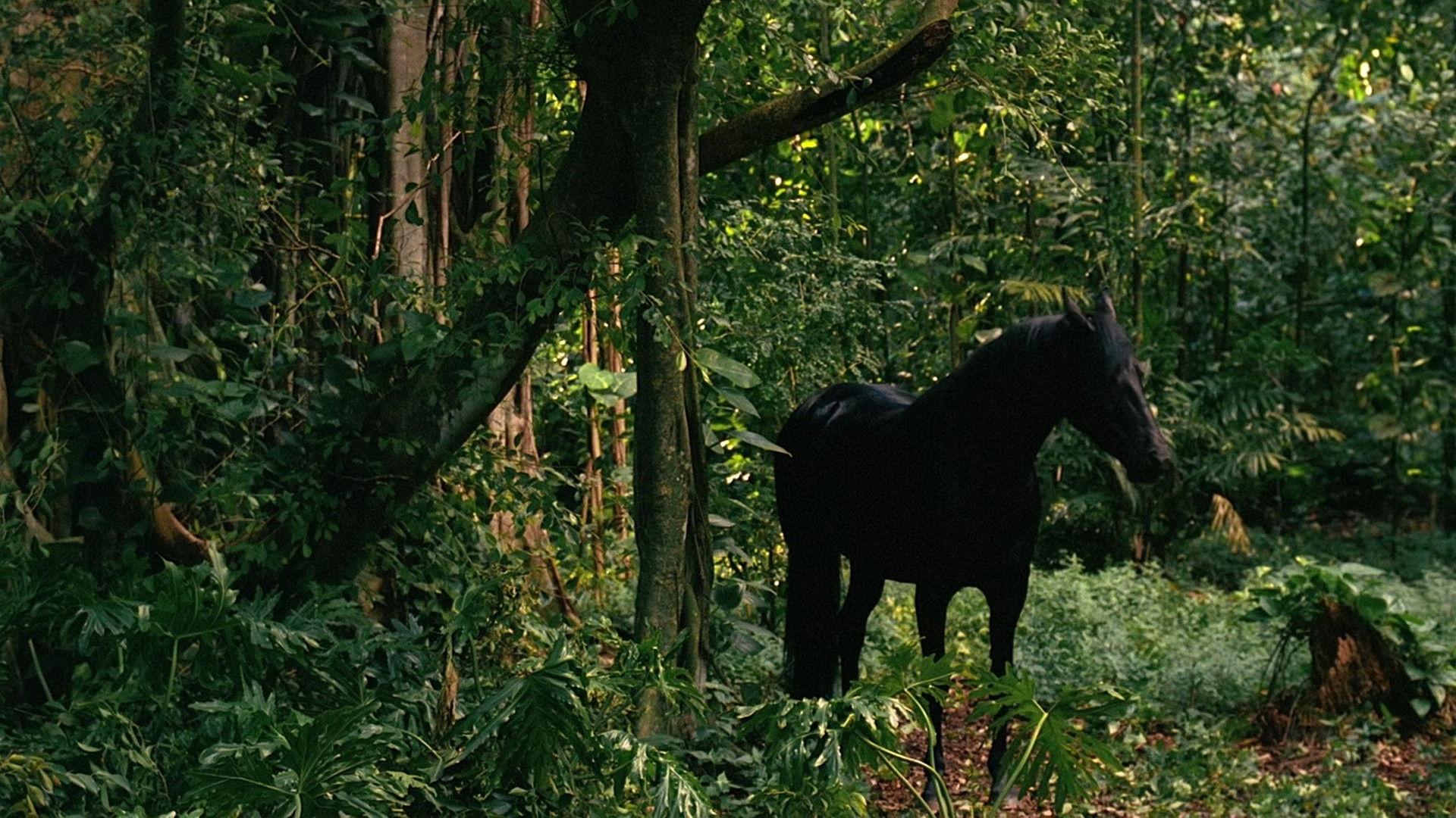 Still from What Kate Did