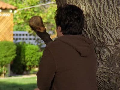 Still from My Big Bird