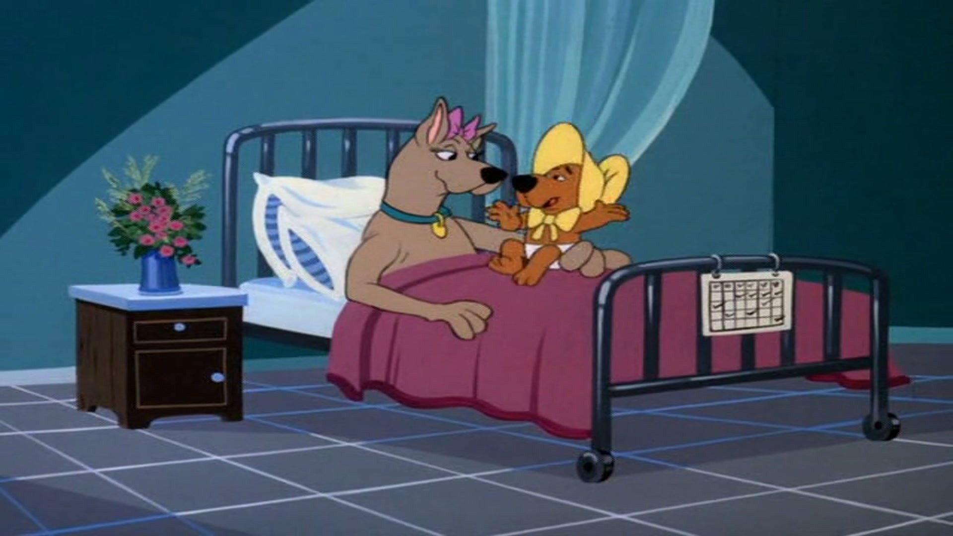 Still from Scooby's Fun Zone / The Abominable Snow Plan / Swamp Witch / Miss Robot America / Sir Scooby and the Black Knight / Constructo