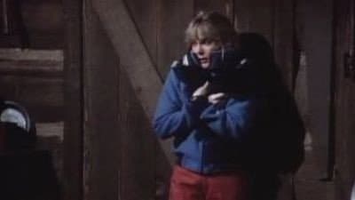 Still from Lady & the Tramps
