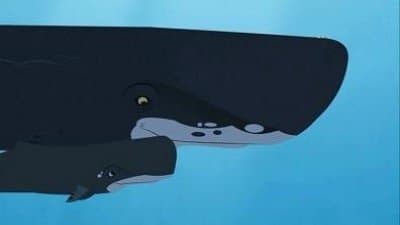 Still from Whale of a Squid