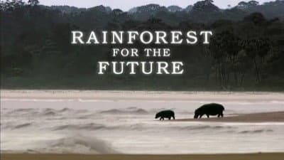 Still from Gabon - Forests of the Future
