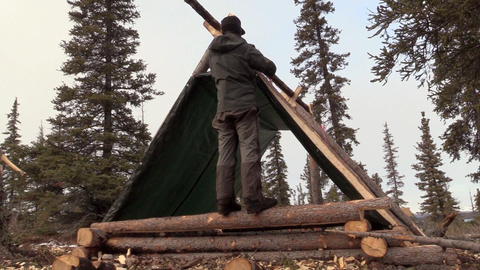 Still from The Musk Ox
