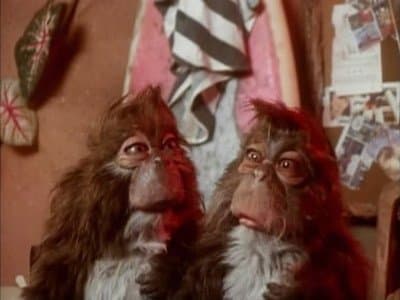 Still from Endangered Species