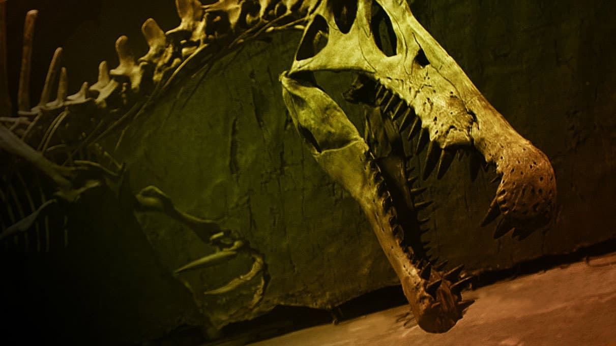 Still from Bigger Than T. rex
