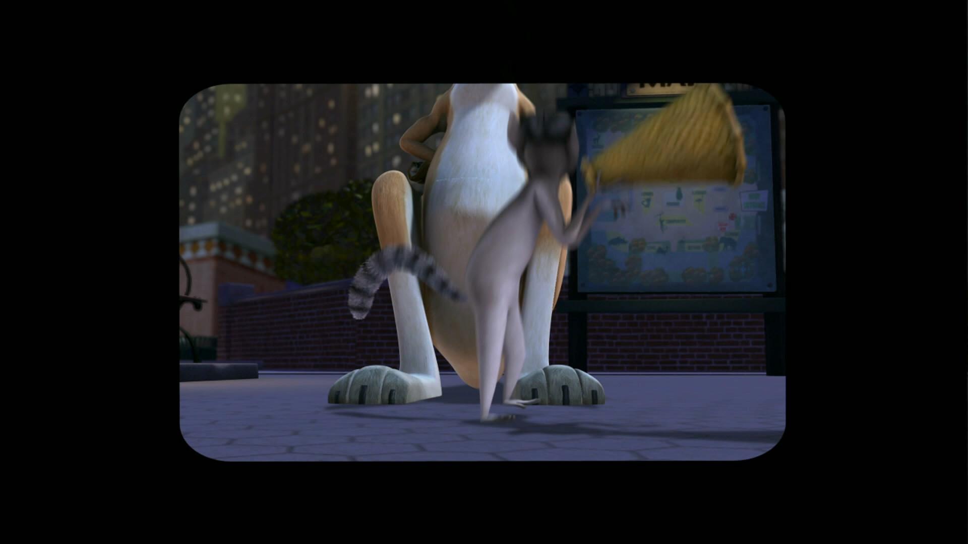 Still from Zoo Tube