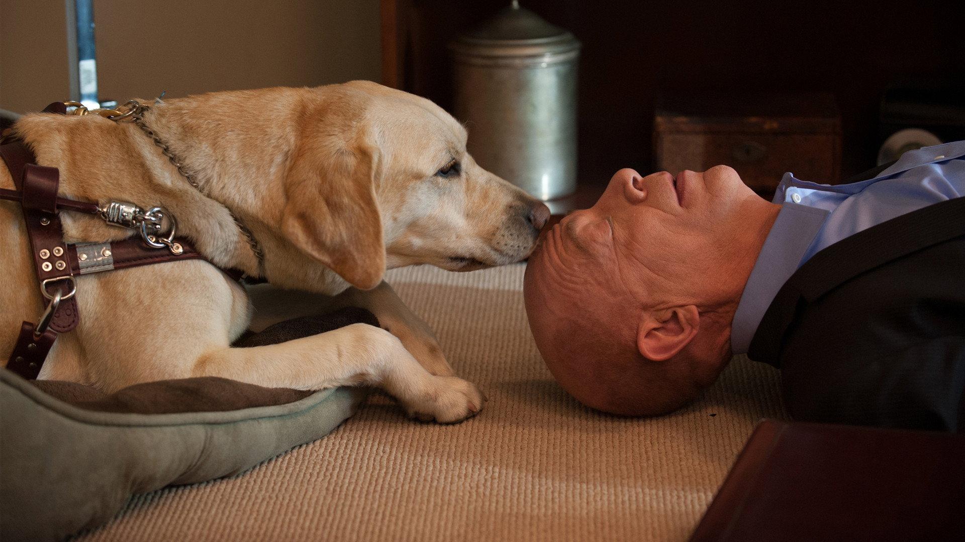 Still from Secret Lives of Fishers