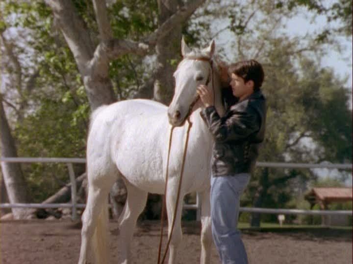 Still from Silent Sleep
