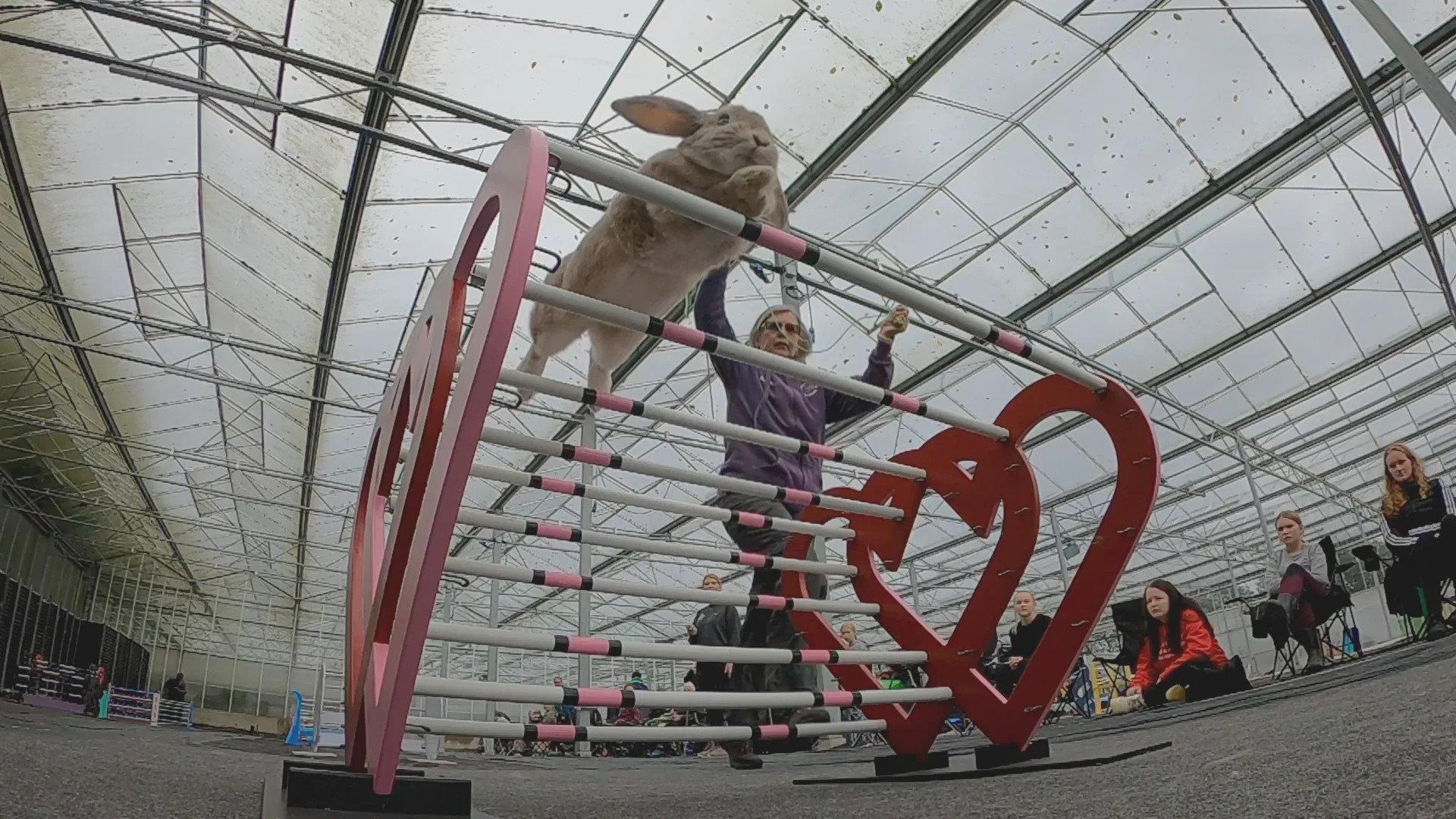 Still from Athletes
