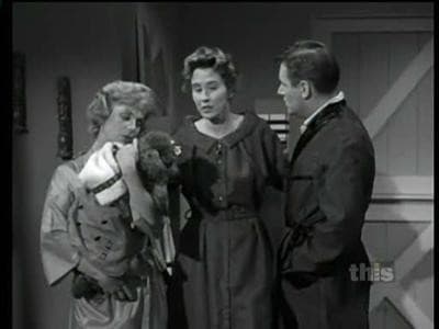Still from Ed the Stoolpigeon