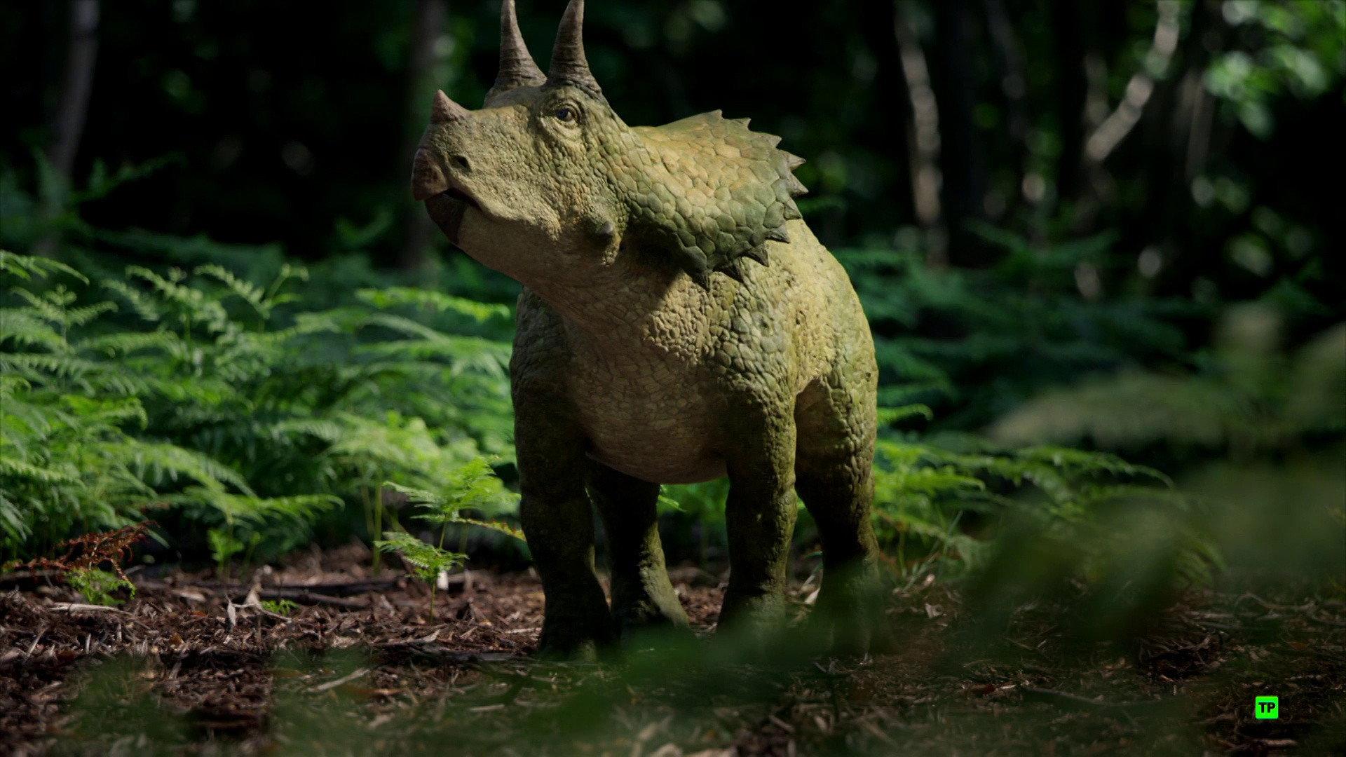 Still from Did a Meteor Kill All the Dinosaurs?