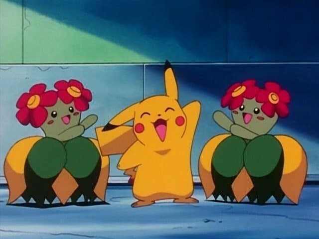 Still from Flower Power