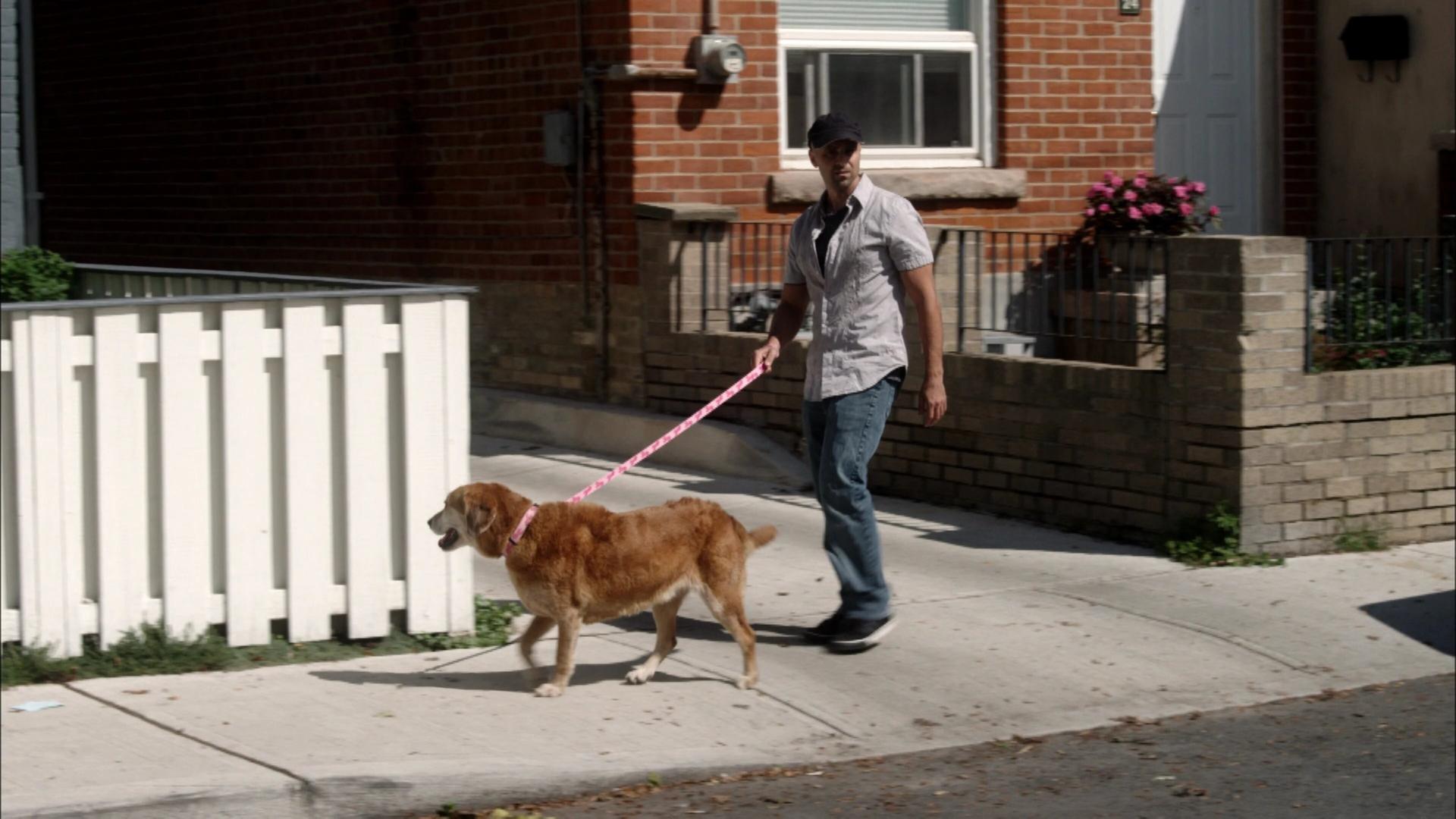 Still from Original Sin