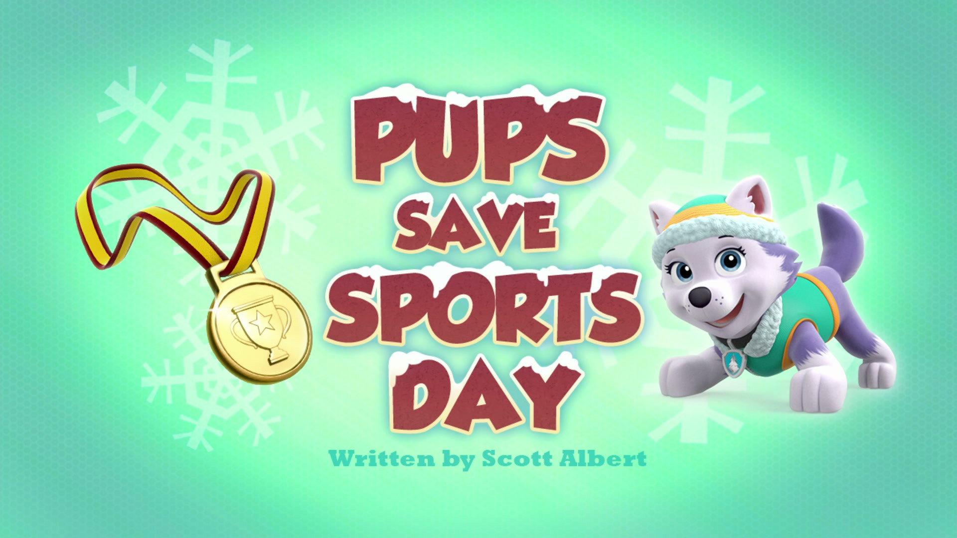 Still from Pups Save Sports Day