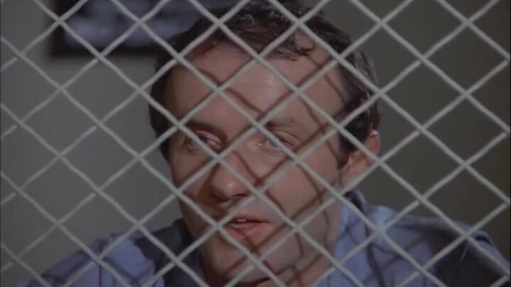 Still from The Witness