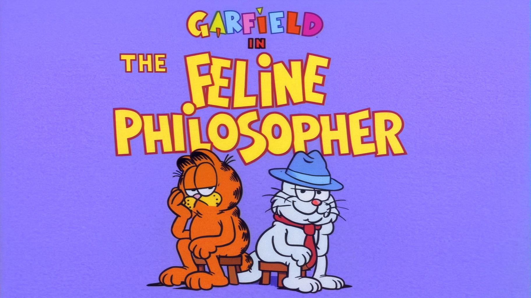 Still from The Feline Philosopher
