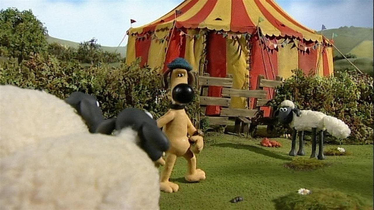 Still from Big Top Timmy