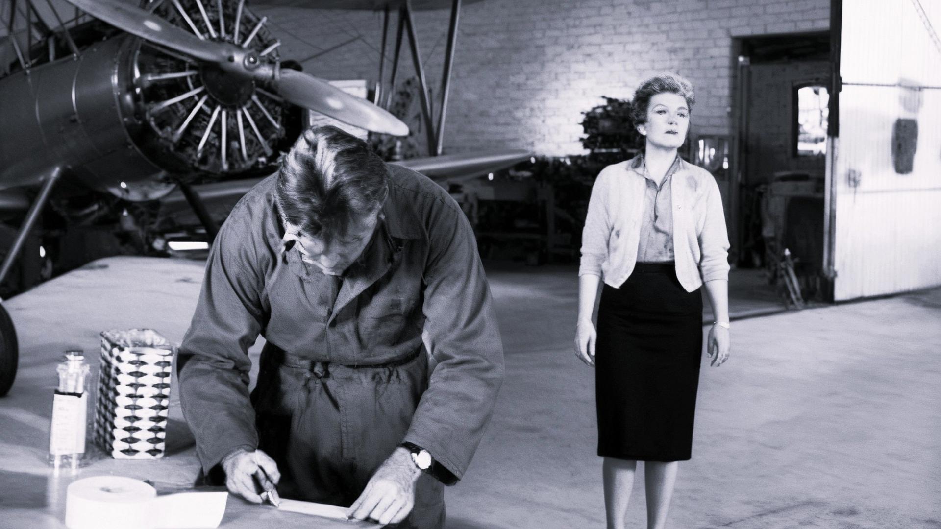 Still from Fly Away Home (2)