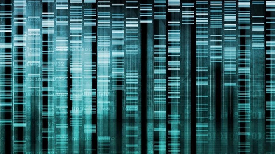 Still from Cracking Your Genetic Code