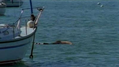 Still from Death by Water (2)
