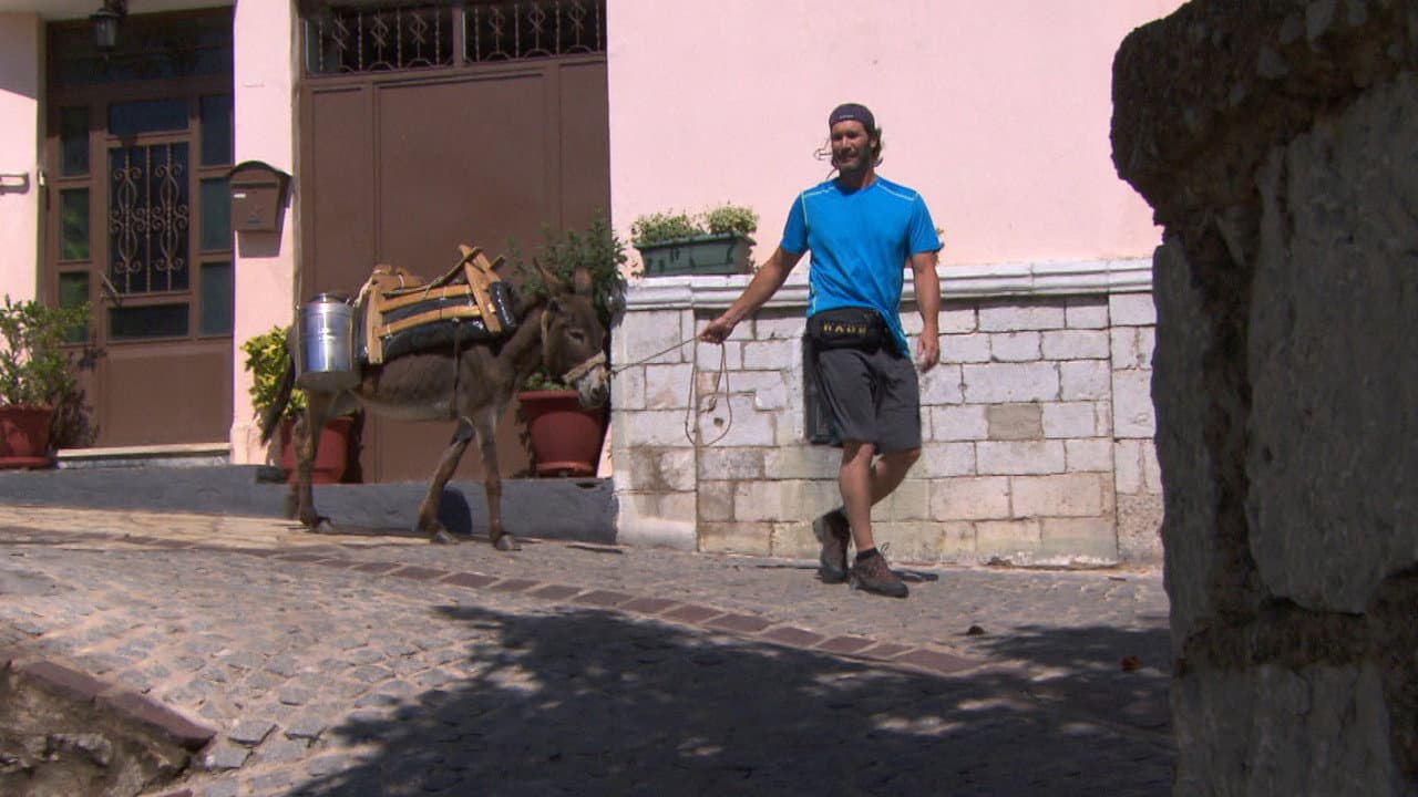Still from Good Job, Donkey