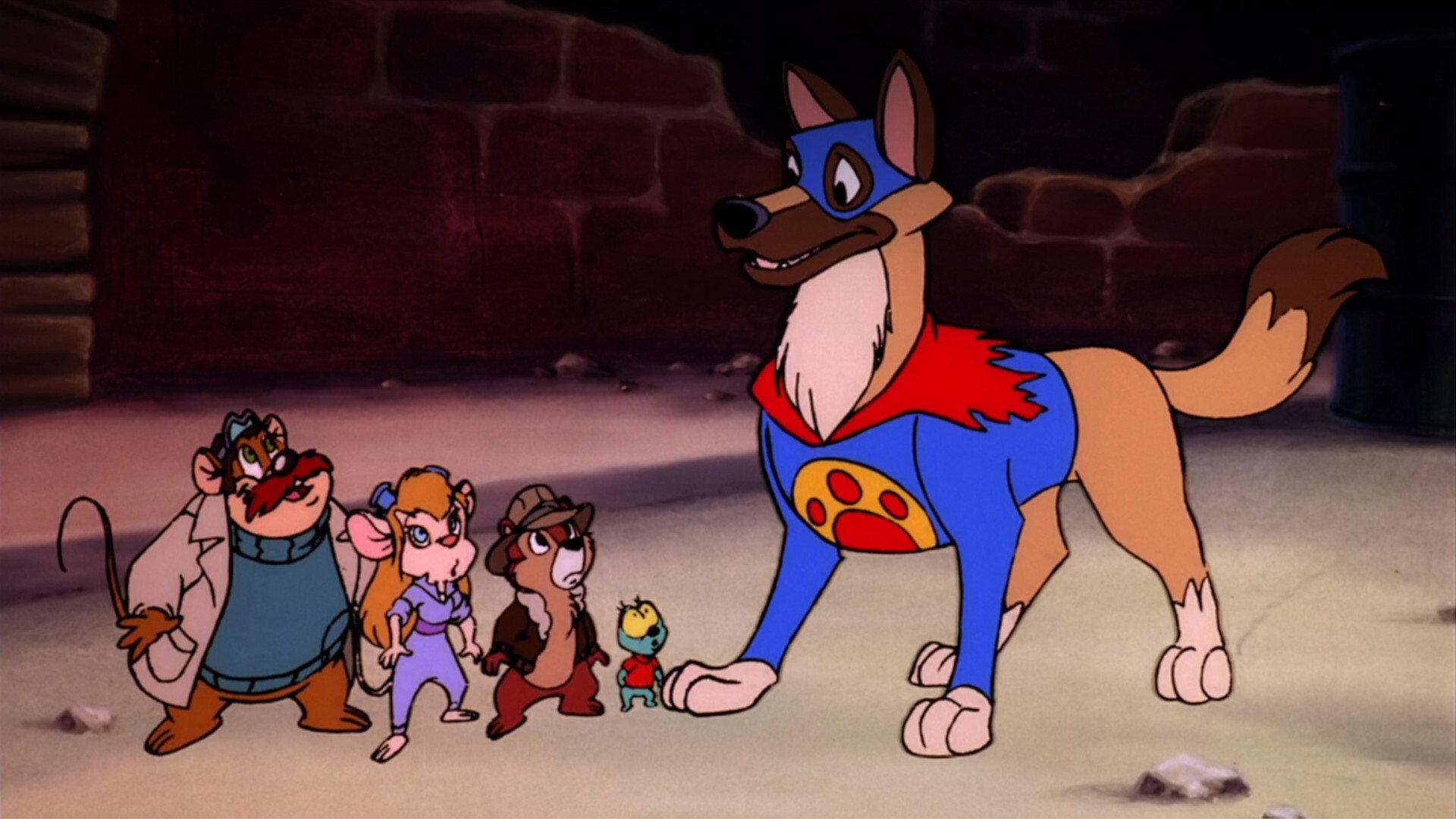Still from Flash the Wonder Dog