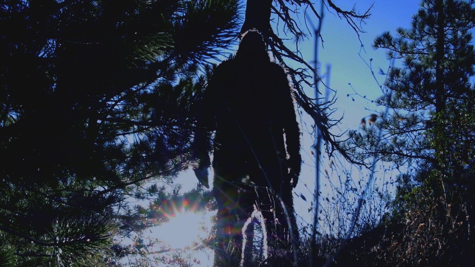 Still from The Top Ten Extraordinary Creatures