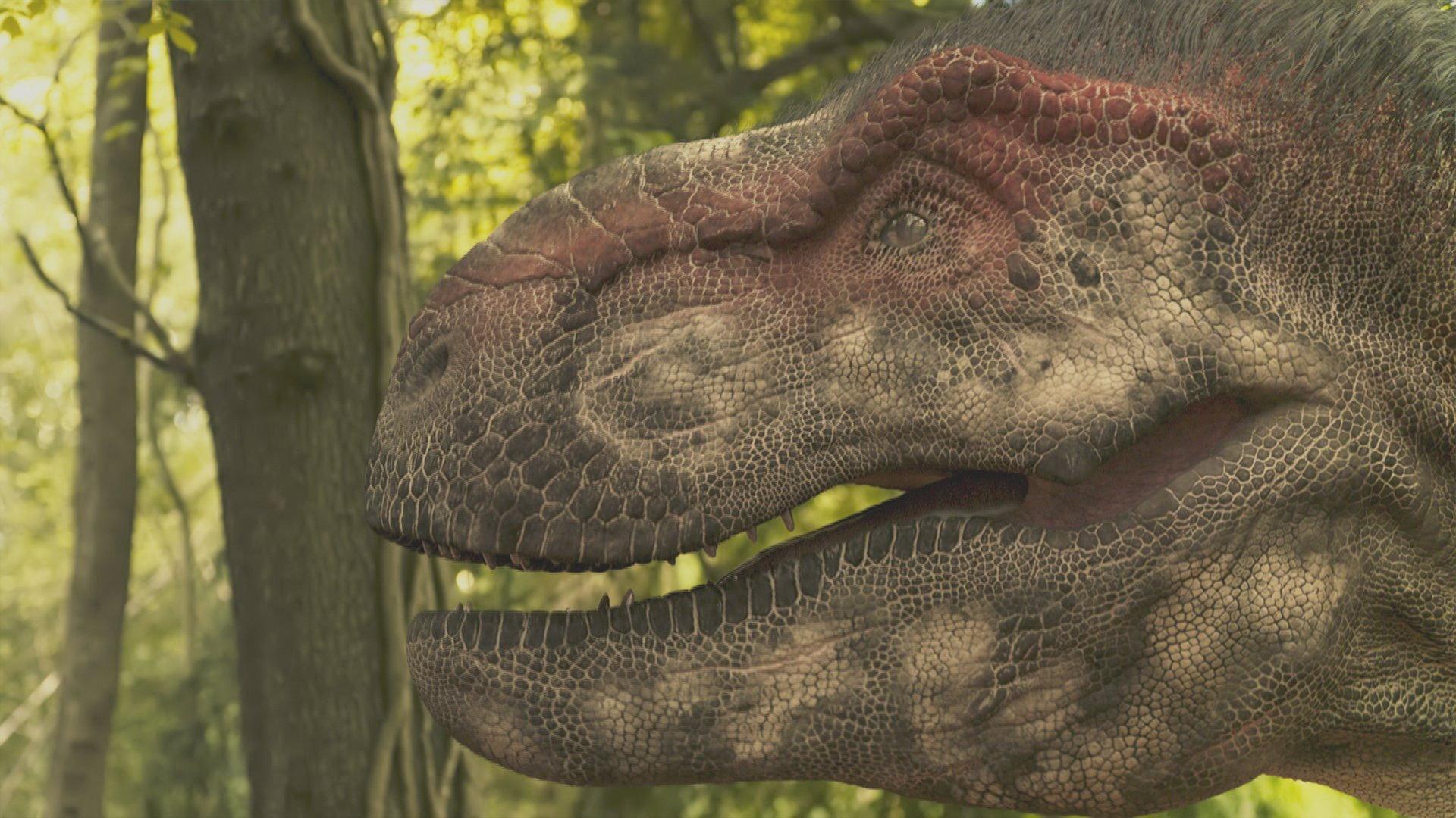 Still from Dinosaur Apocalypse: The New Evidence