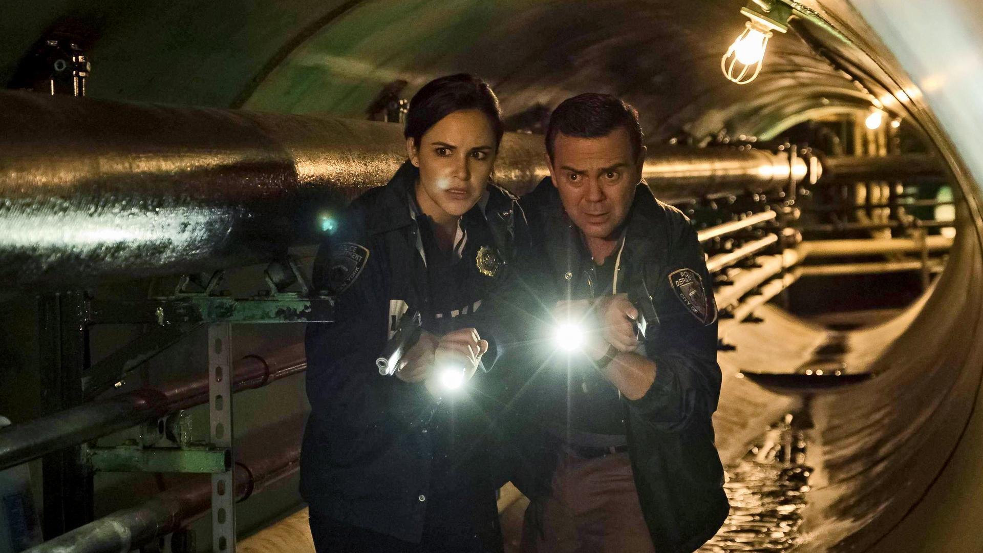 Still from The Fugitive (1)