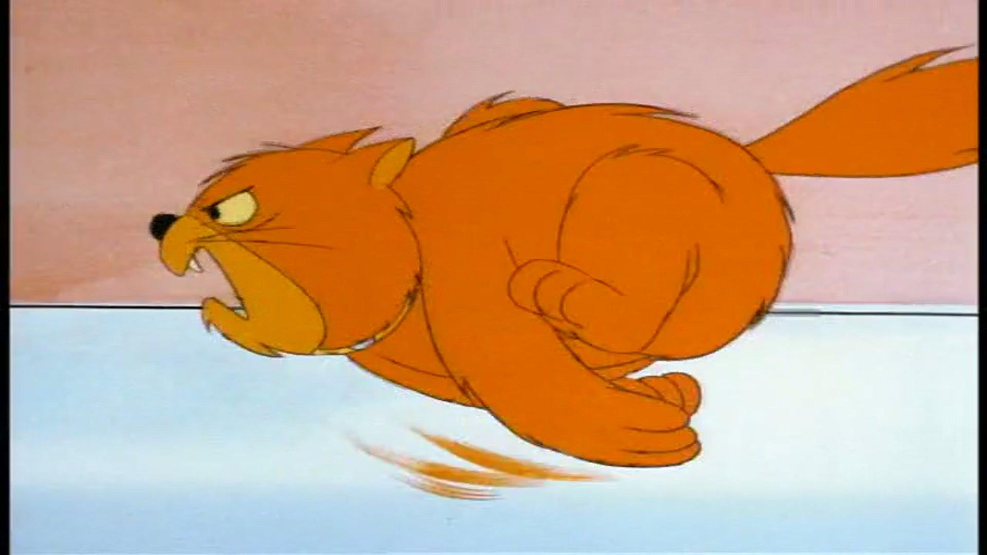 Still from Scooby's Desert Dilemma / The Rare Scare / The Old Cat and Mouse Game / Kitty Sitter / Stowaways / One of Our Aircraft Carriers is Missing
