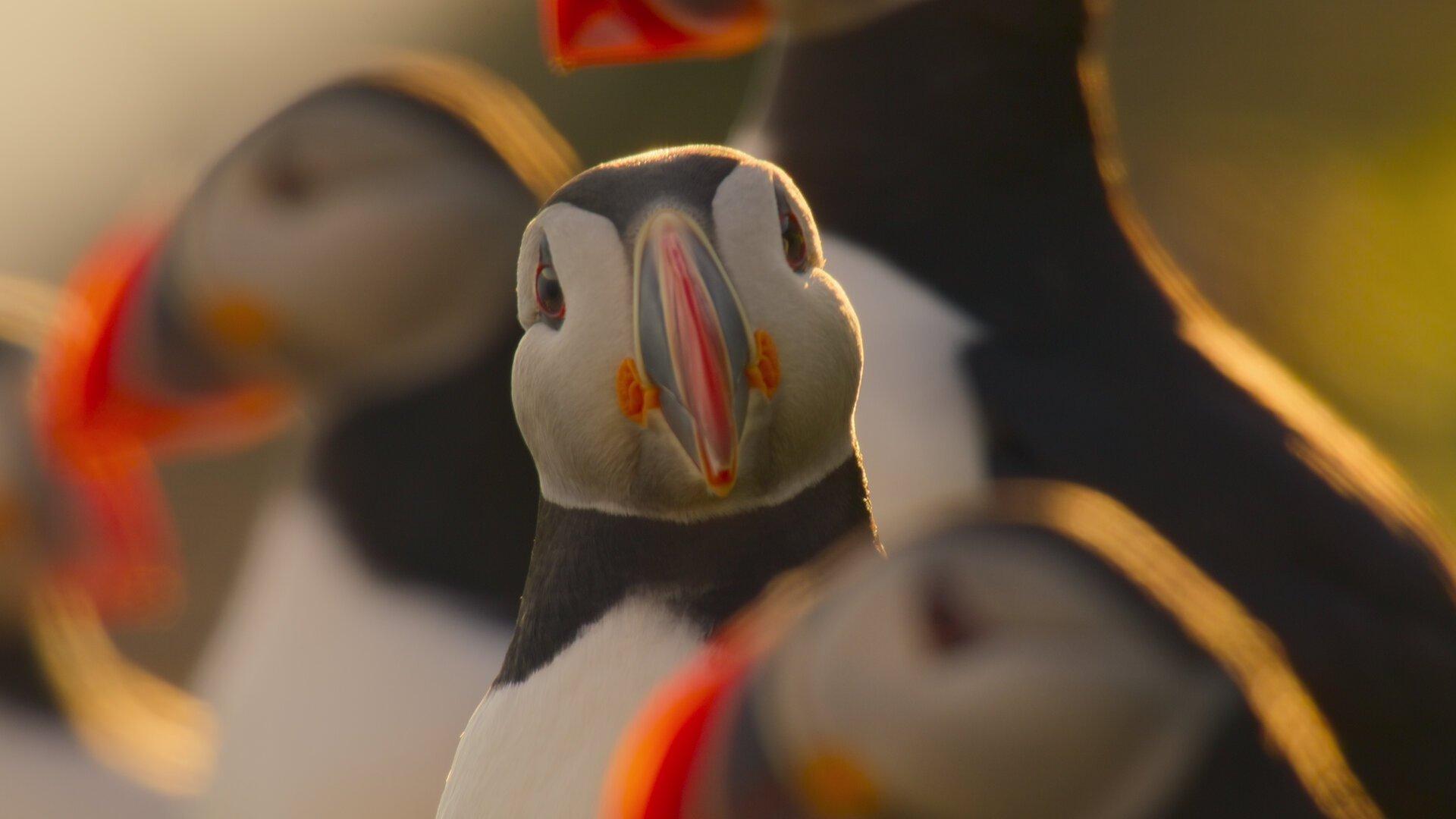 Still from Atlantic Ocean