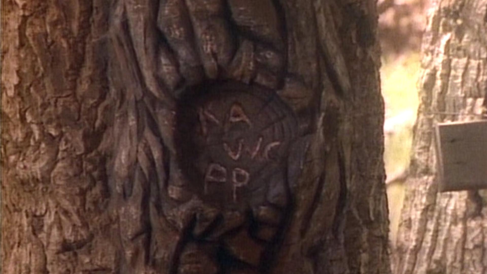 Still from Whose Woods Are These?