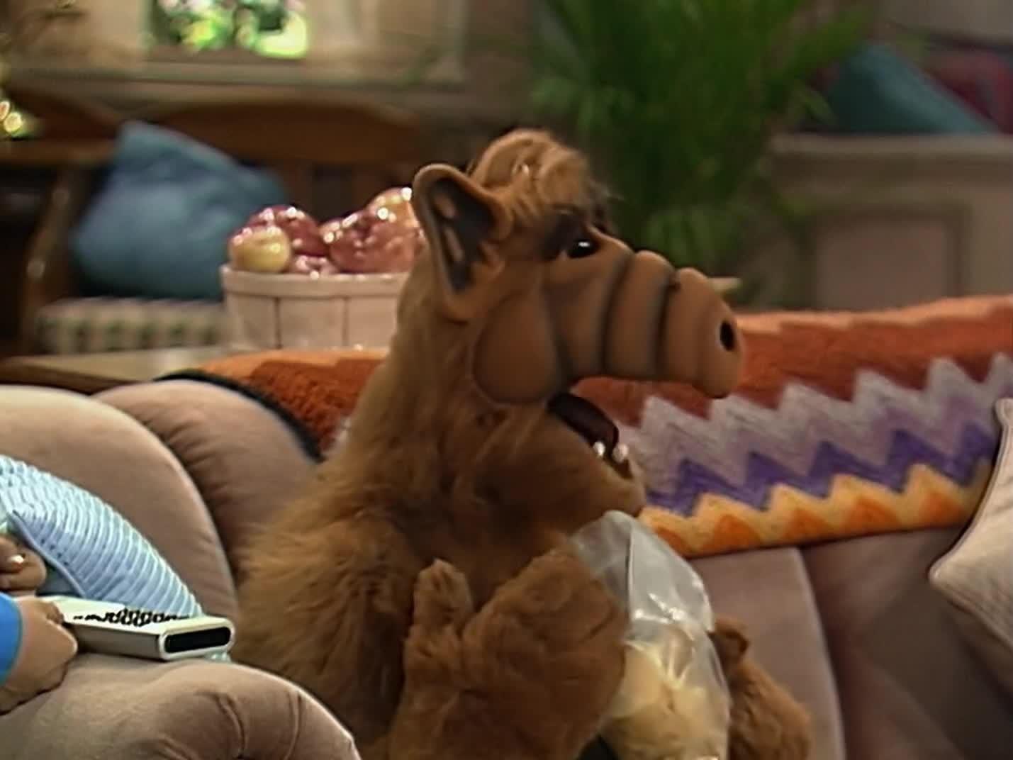 Still from Lookin' Through the Windows