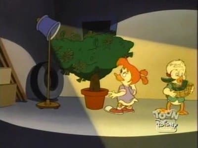 Still from Easy Come, Easy Grows