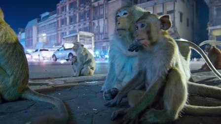 Still from Sleepless Cities