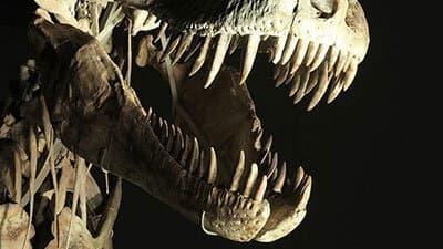 Still from Dinosaurs: The Hunt for Life