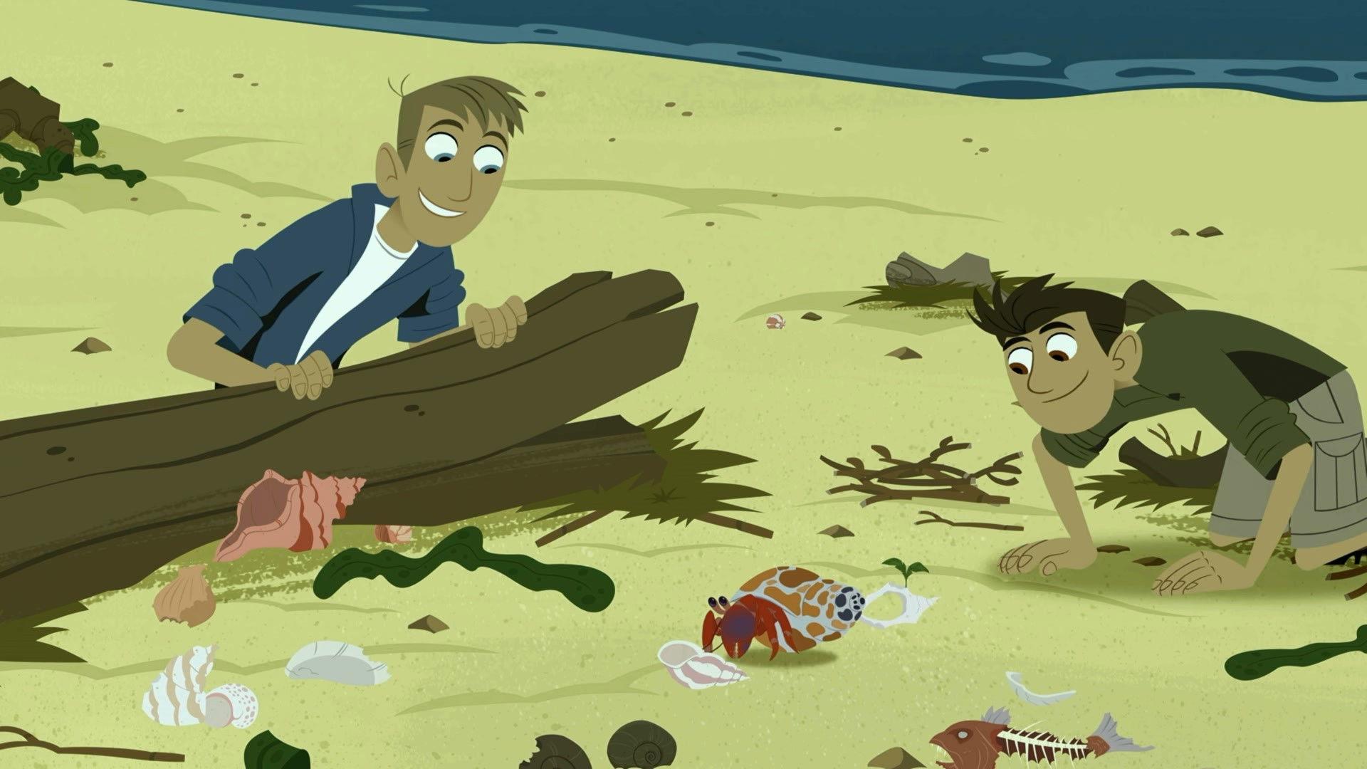 Still from Hermit Crab Shell Exchange