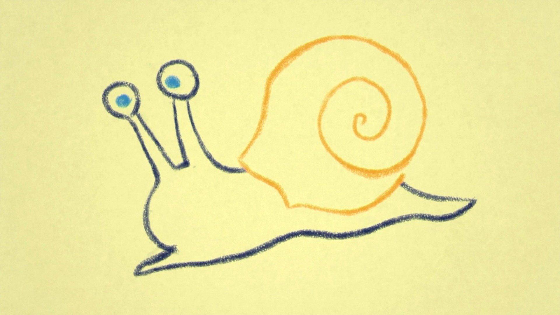 Still from Snail-A-Palooza