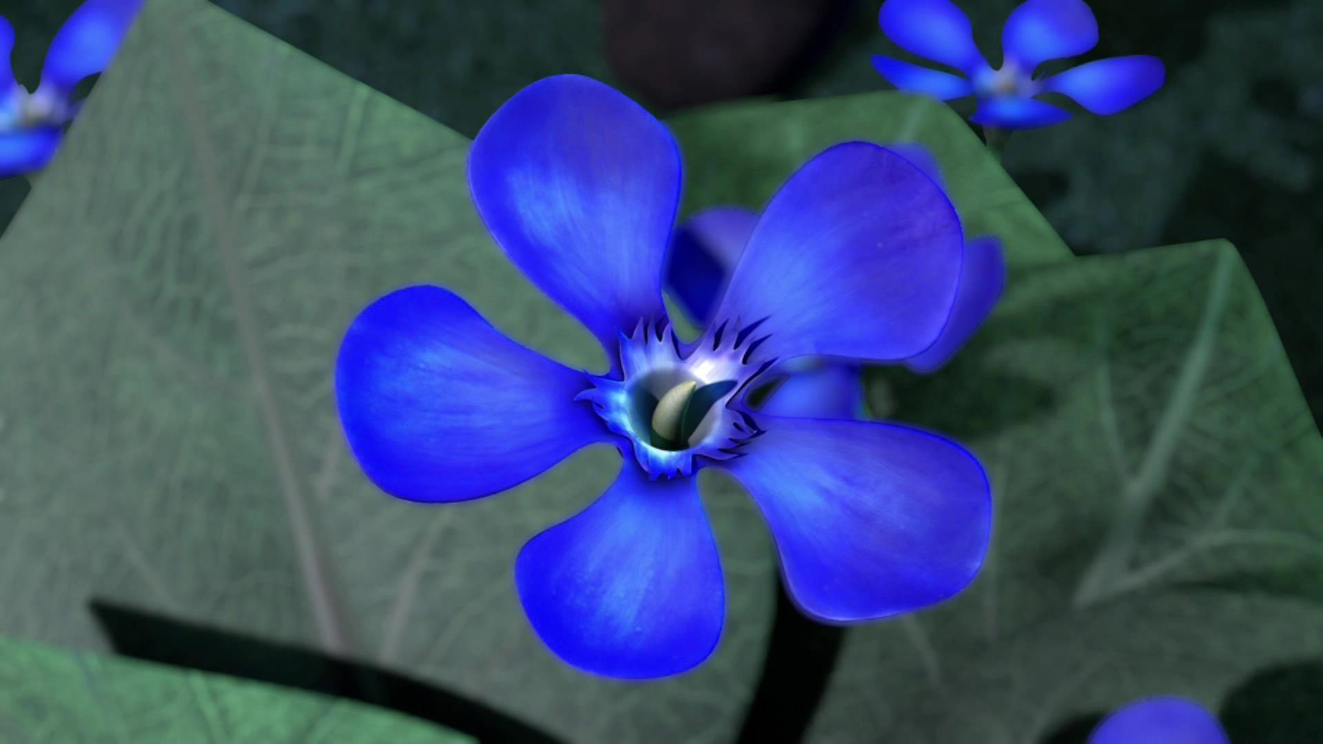 Still from Dragon Flower