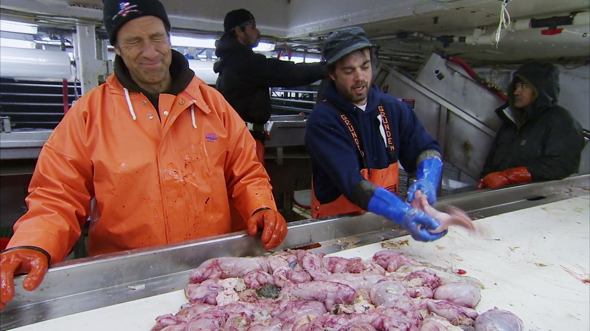 Still from Floating Fish Factory