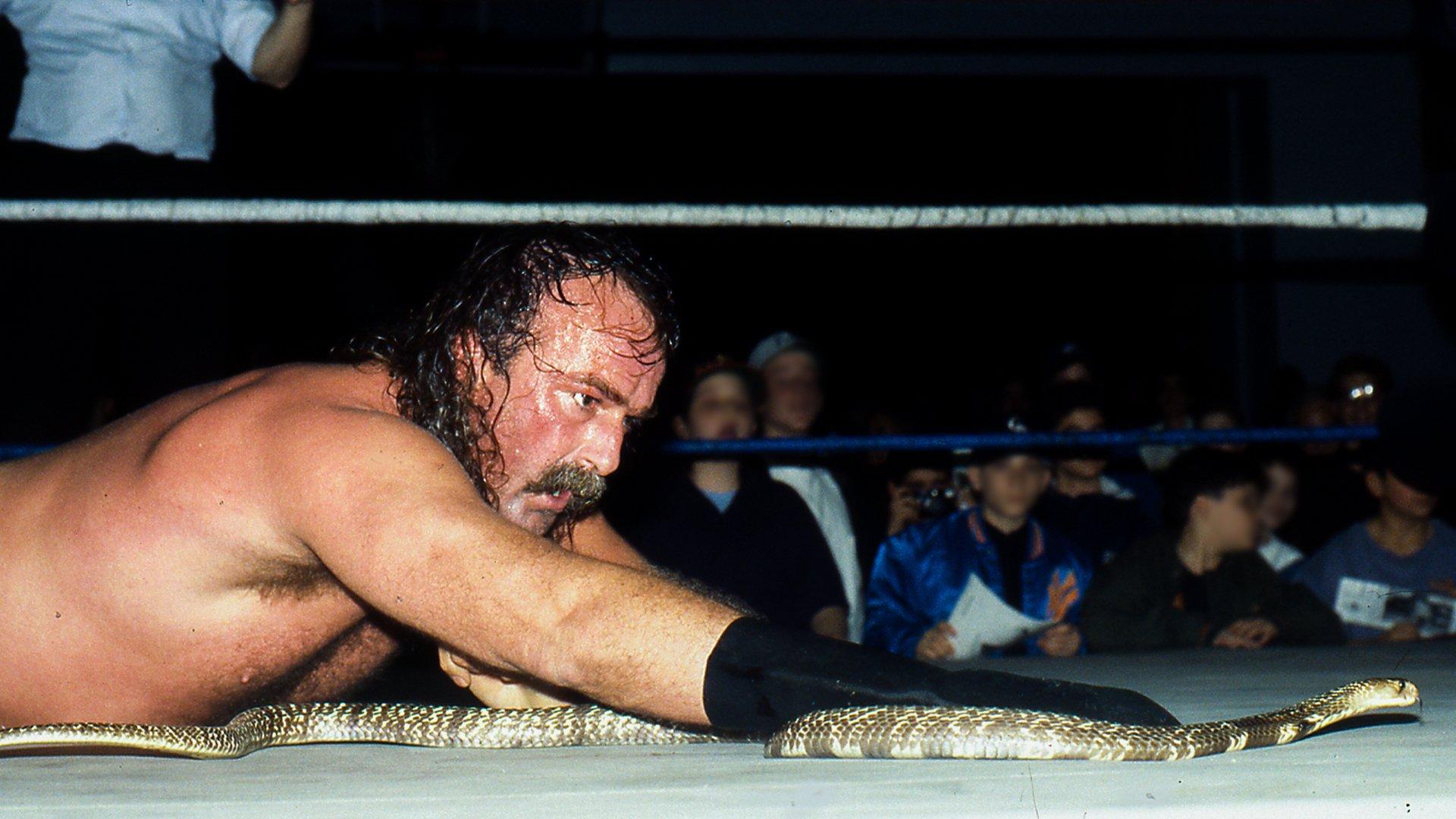 Still from In The Shadow of Grizzly Smith