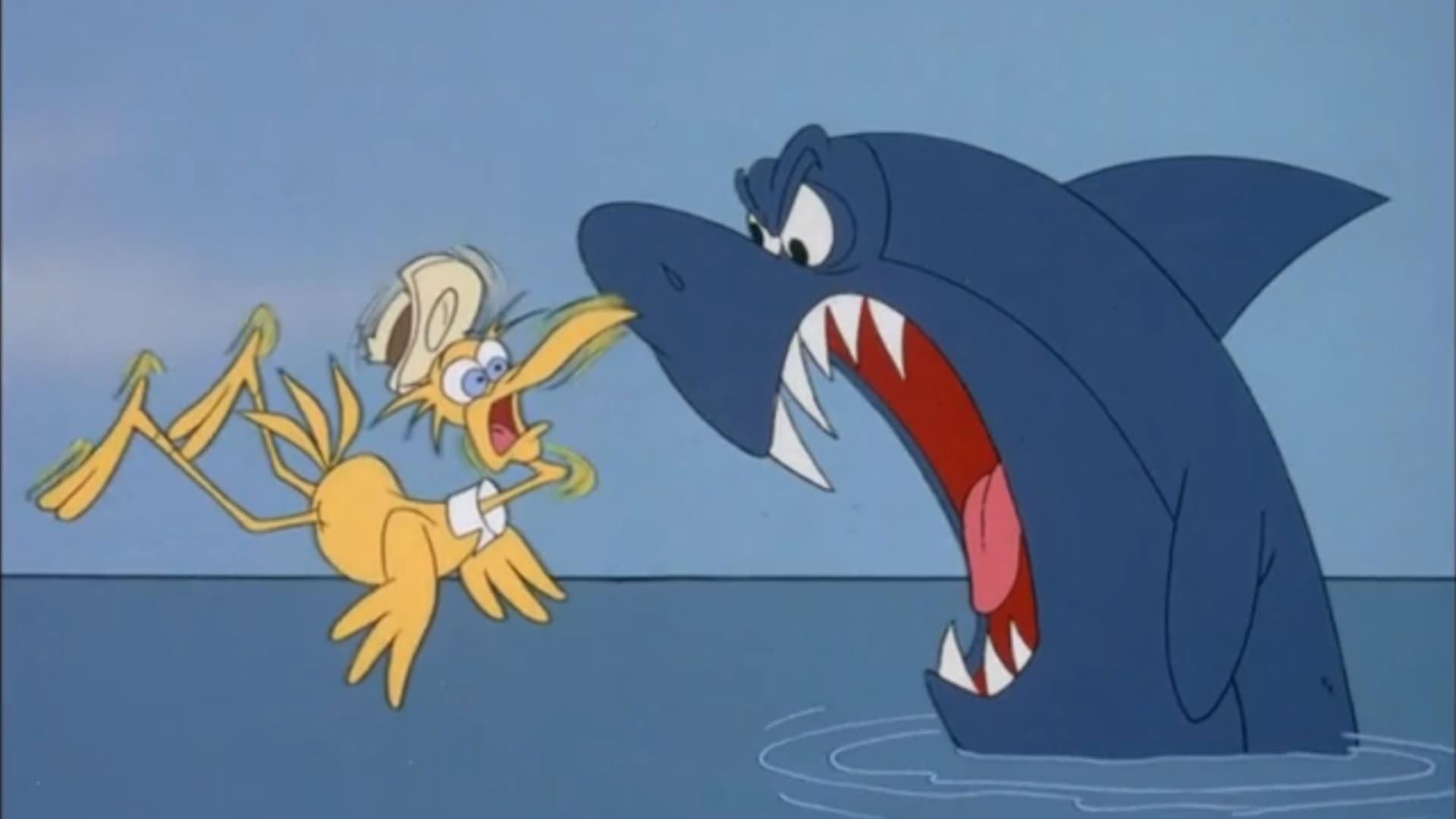 Still from Barnacle Bird