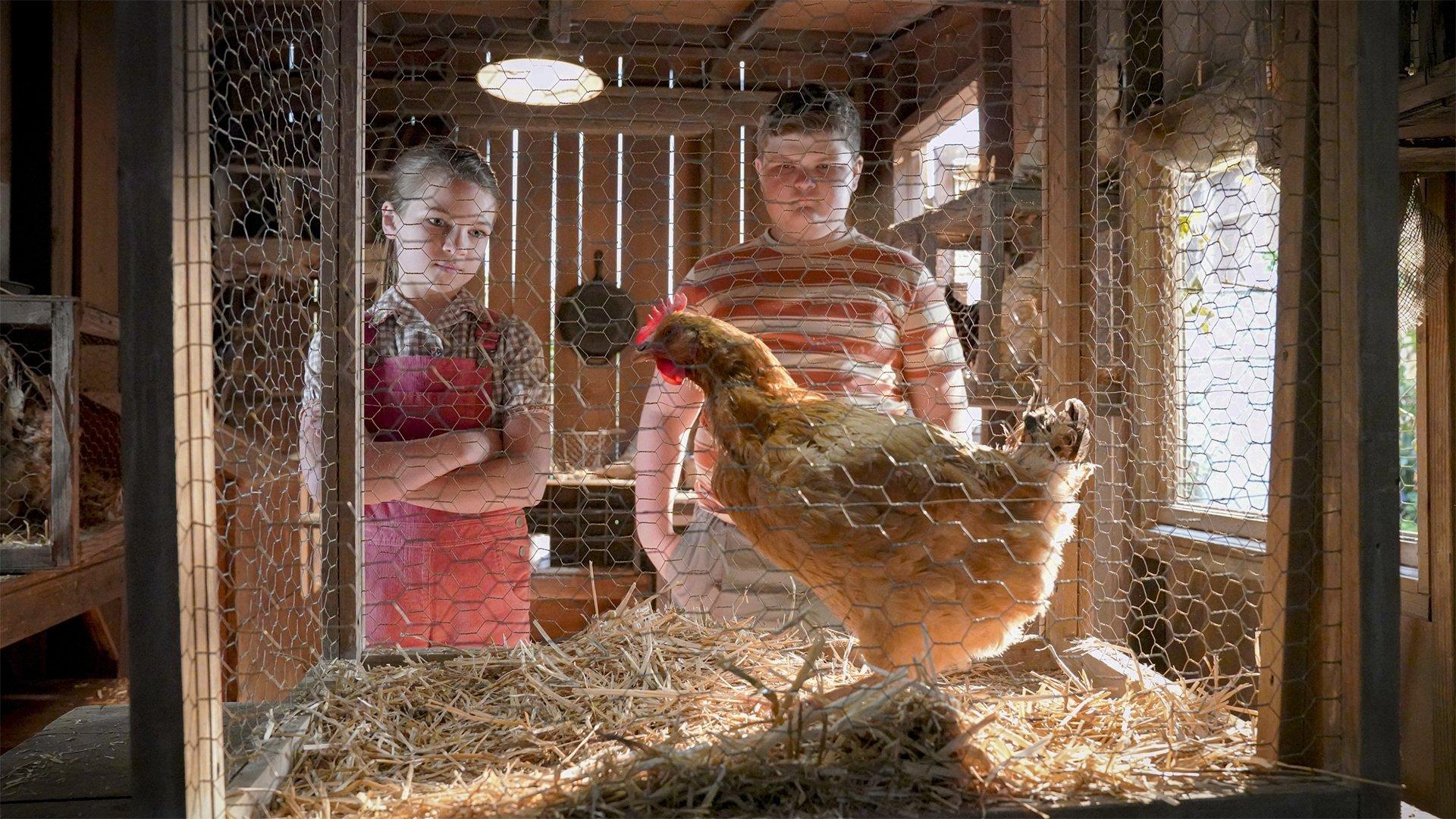 Still from A Live Chicken, a Fried Chicken and Holy Matrimony