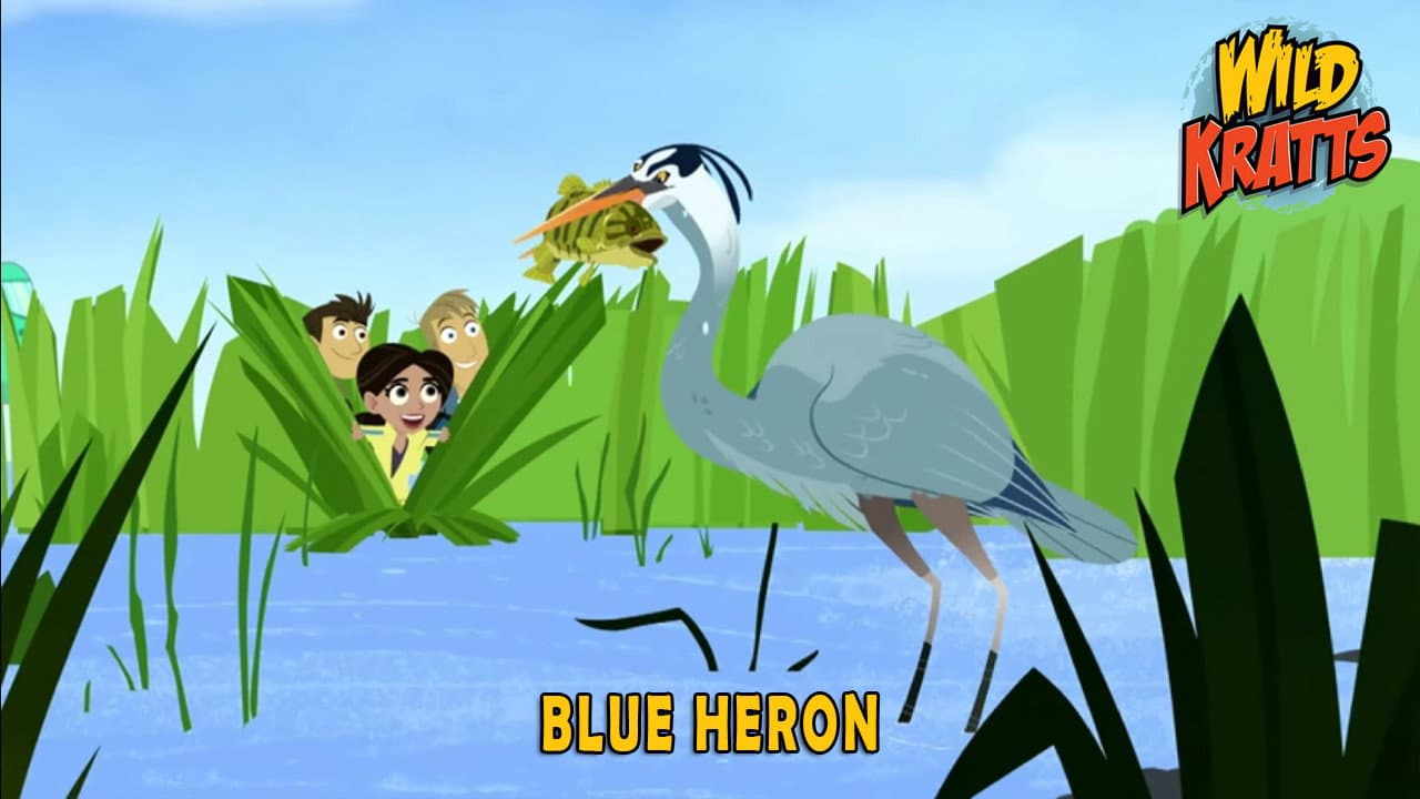 Still from Blue Heron