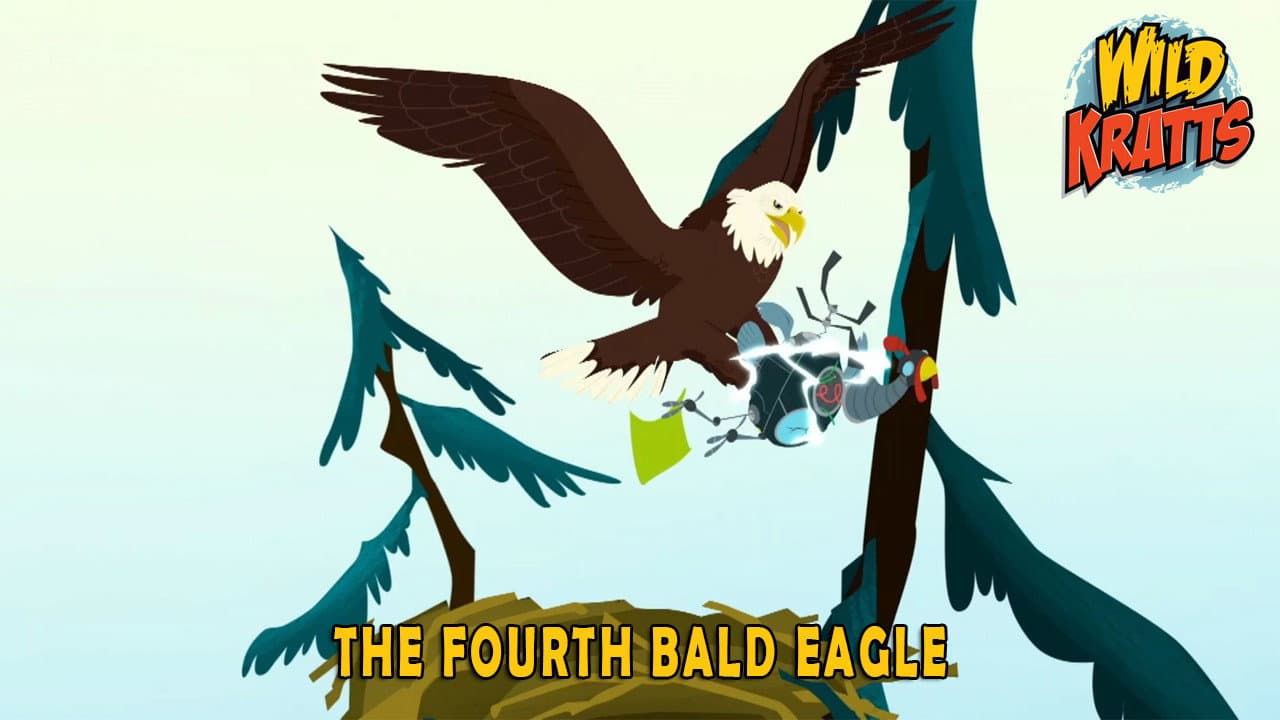 Still from The Fourth Bald Eagle