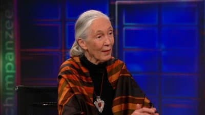 Still from Jane Goodall