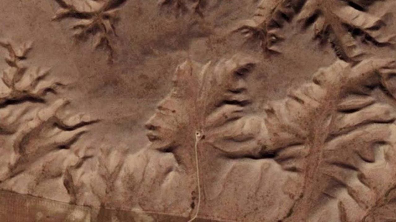 Still from The Badlands Guardian