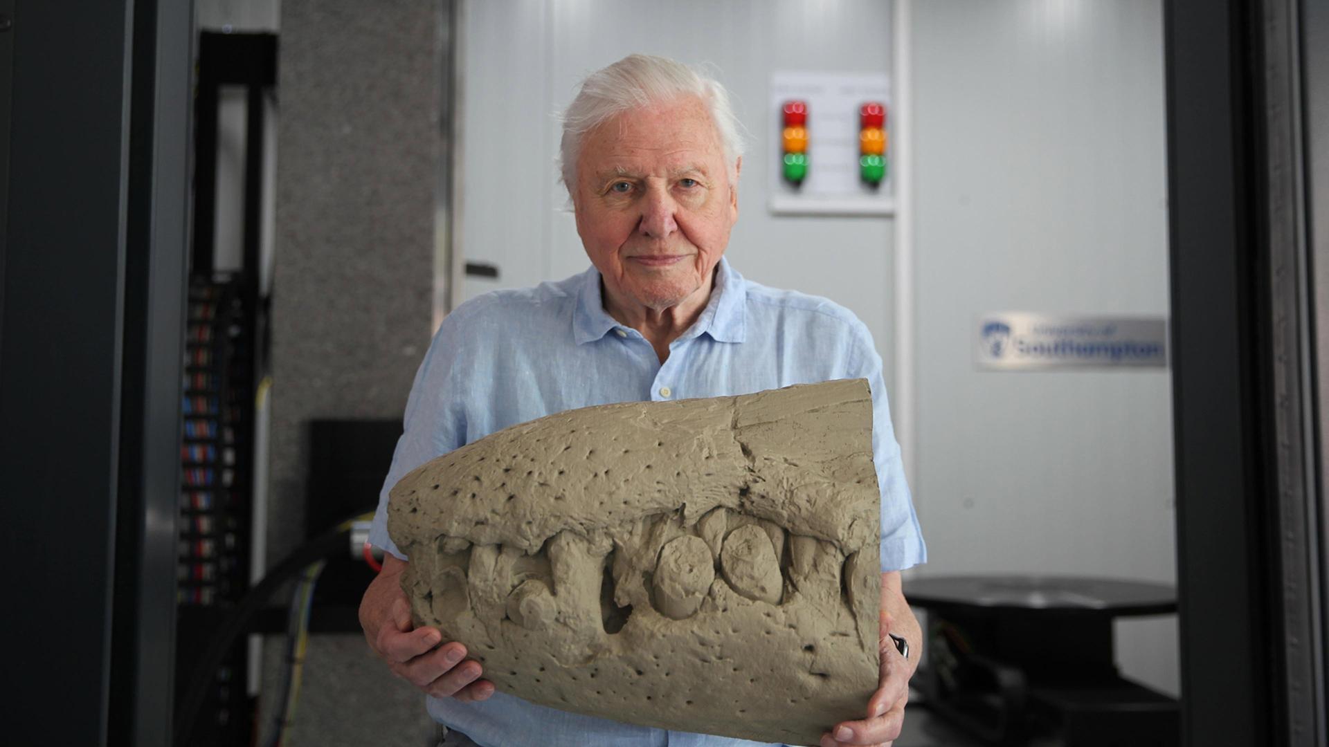 Still from Attenborough and the Jurassic Sea Monster